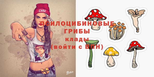 альфа пвп Армянск