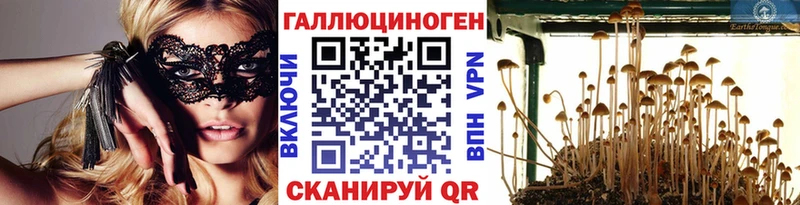 наркотики  Балахна  Галлюциногенные грибы Psilocybine cubensis 