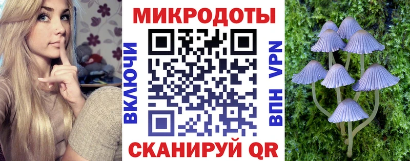 Галлюциногенные грибы GOLDEN TEACHER Балахна